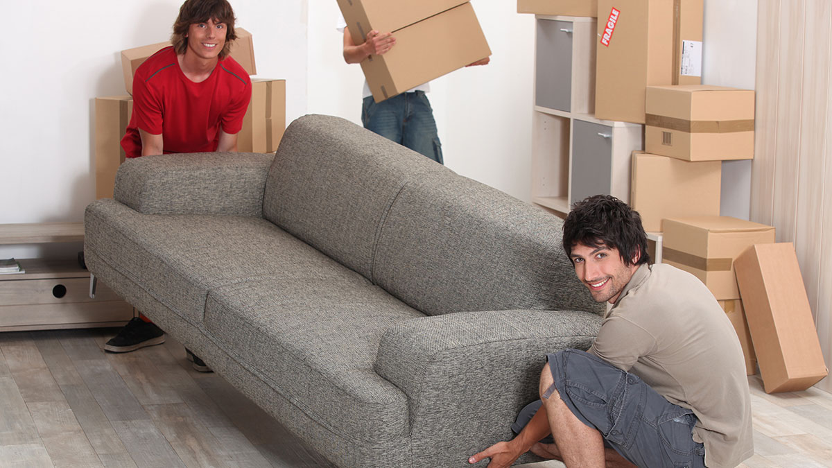 affordable movers denver